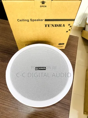 Tundra Bluetooth Ceiling Speaker