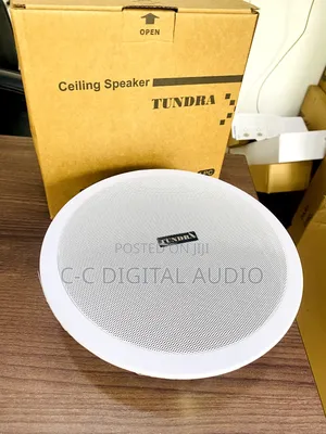 Single Tundra Bluetooth Ceiling Speaker