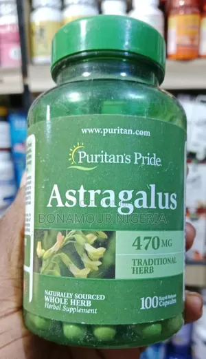 Astragalus 479mg X 100 Capsules