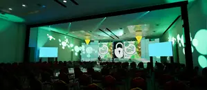 Suitable for Space Led Video Screens