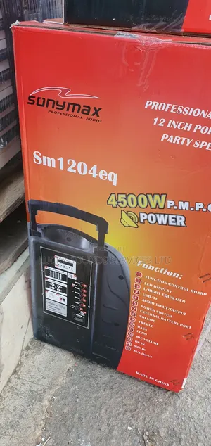 Sonymax Pa System 12"