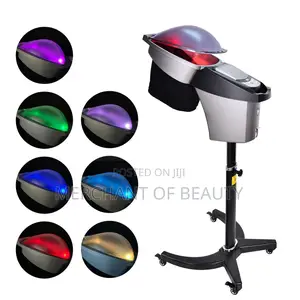 Micromist Hair Steamer