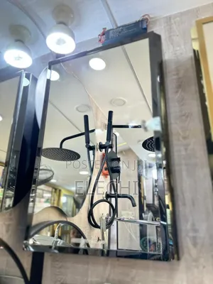 Black Stainless Steel Cabinet Mirror