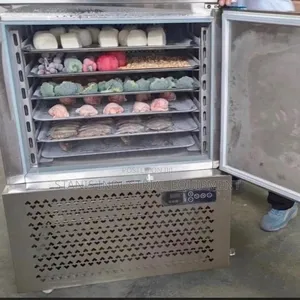 Blast Freezer