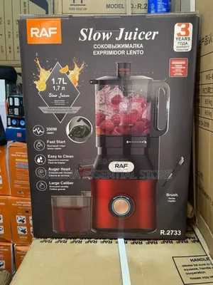 Raf Powerful 300w Multifunction Industrial Slow Juicer