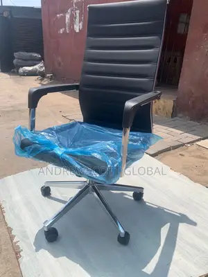 Brand New Imported Executive Office Chair