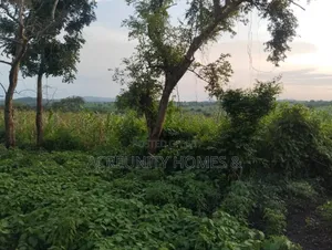  5 Acres of Farmland for Sale – Km 5, Iseyin–Ogbomoso Road Oyo State