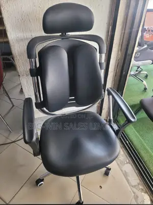 Kidney Ergonomic Chair With Back Support