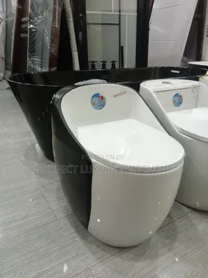 White/Black Luxury Smart W.C Water Closet