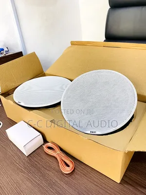 Dart 2 in 1 Bluetooth Ceiling Speaker