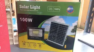 100 Watts Solar-Powered Floodlight