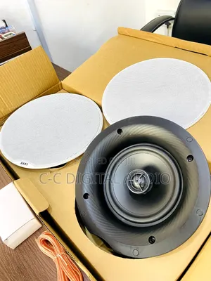 Dart Two in One Bluetooth Ceiling Speaker