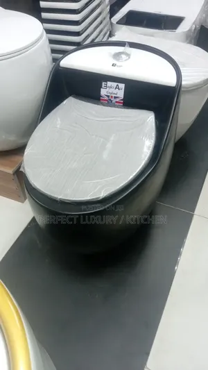 Smart Luxury Black and White W.C Water Closet 