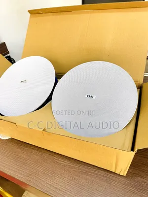 Dart Power 2in1 Bluetooth Ceiling Speaker