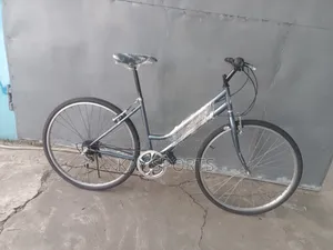 Professional Ladies Sport Bicycle