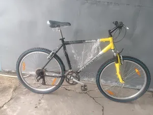 Giant Adult Sport Bicycle