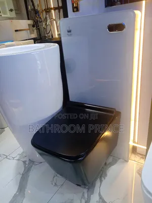 Modern Conceal Water Closet