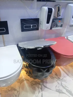 Rough Matte Black Conceal Water Closet