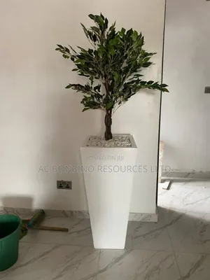 Flowers for Home and Office