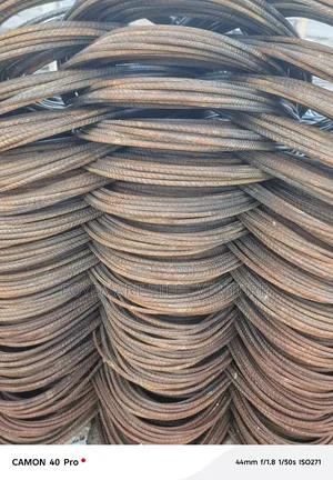 Tiger Standard TMT Steel