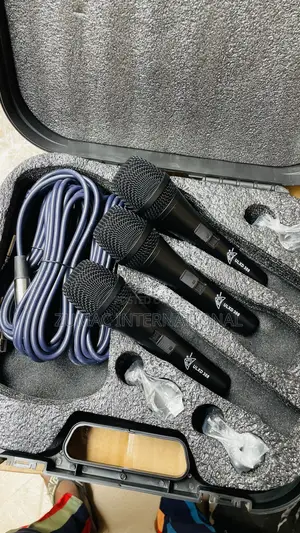 3 in 1 Wired Microphone