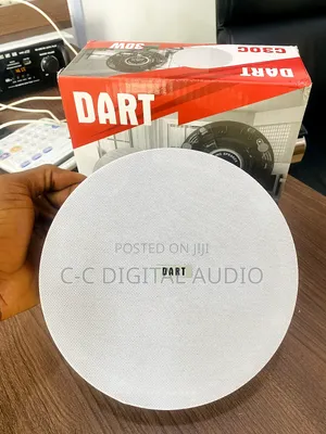 Dart Franeless Ceiling Speaker