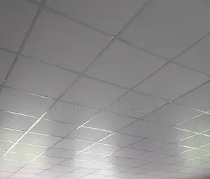 Suspended Ceiling
