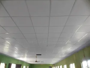 Suspended Ceiling