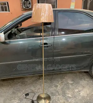 Luxurious Gold Floor Lamp