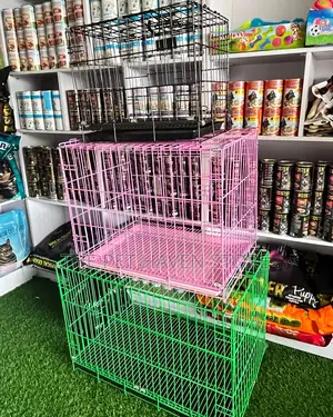 Collapsible Cage