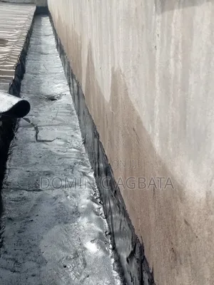 Clinician Roof-Waterproofing Expert
