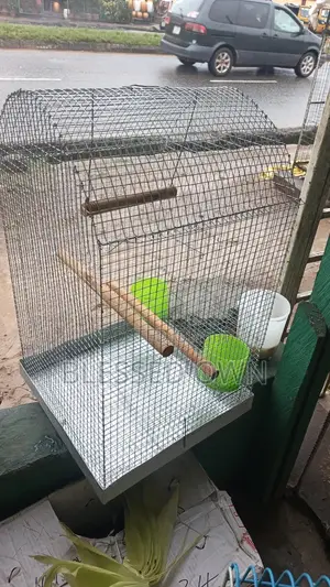 Parrots Cage for Sale