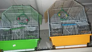 Beautiful Parrots Cages for Sale