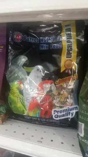 Parrots Feeds Are Available