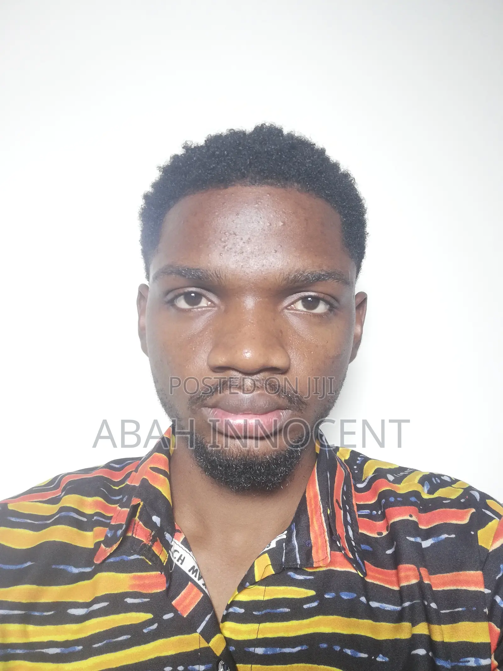 In House Content Creator