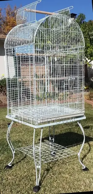 Imported Cages Are Available