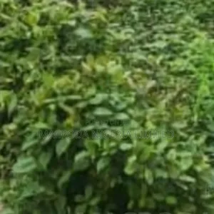 Land Available for Sale at Osborne 2