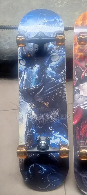 Newly Designed Skate Board