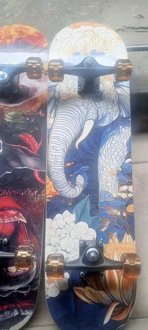 Newly Designed Skate Board
