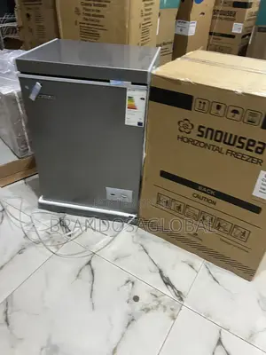 Snowsea 70l Bd-108 - Top Rated Mini Freezer