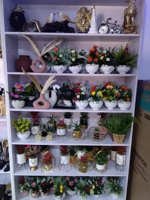 Aesthetics Flowers
