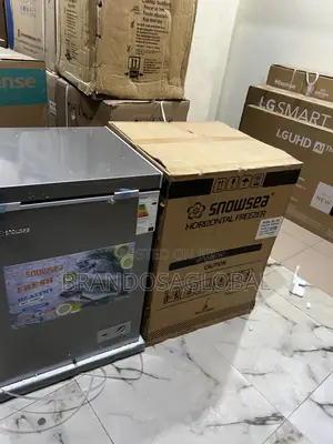 Snowsea 110l Bd-158 Freezer – Durable Compact Design