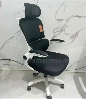Ergonomic Office Chair With Lumber Support