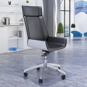 Executive Ergonomic Sleek Office Chair