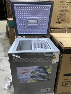 Snowsea Bd-158 – 110l Chest Freezer for Home Business