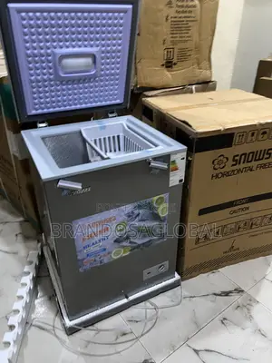 Snowsea Bd-158 Freezer – 110l Tropical Climate Design