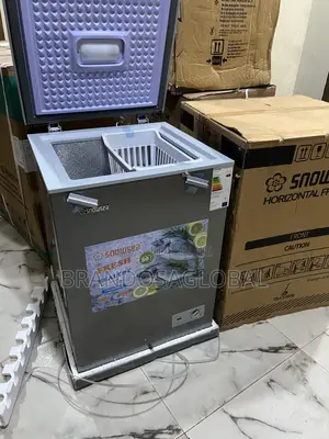 Snowsea Bd-158 – 110l Compact Chest Freezer Power