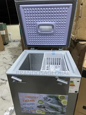 Snowsea Bd-158 – Compact 110l Freezer for Modern Homes