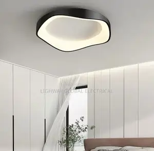 Modern Black And White Ceiling Fitting