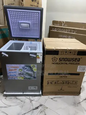 Snowsea Bd-158 Freezer – Compact Portable Design